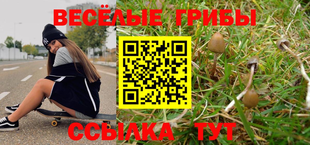 Галлюциногенные грибы Cubensis  Галлюциногенные грибы прущие грибы  Зерноград  Вход с VPN 